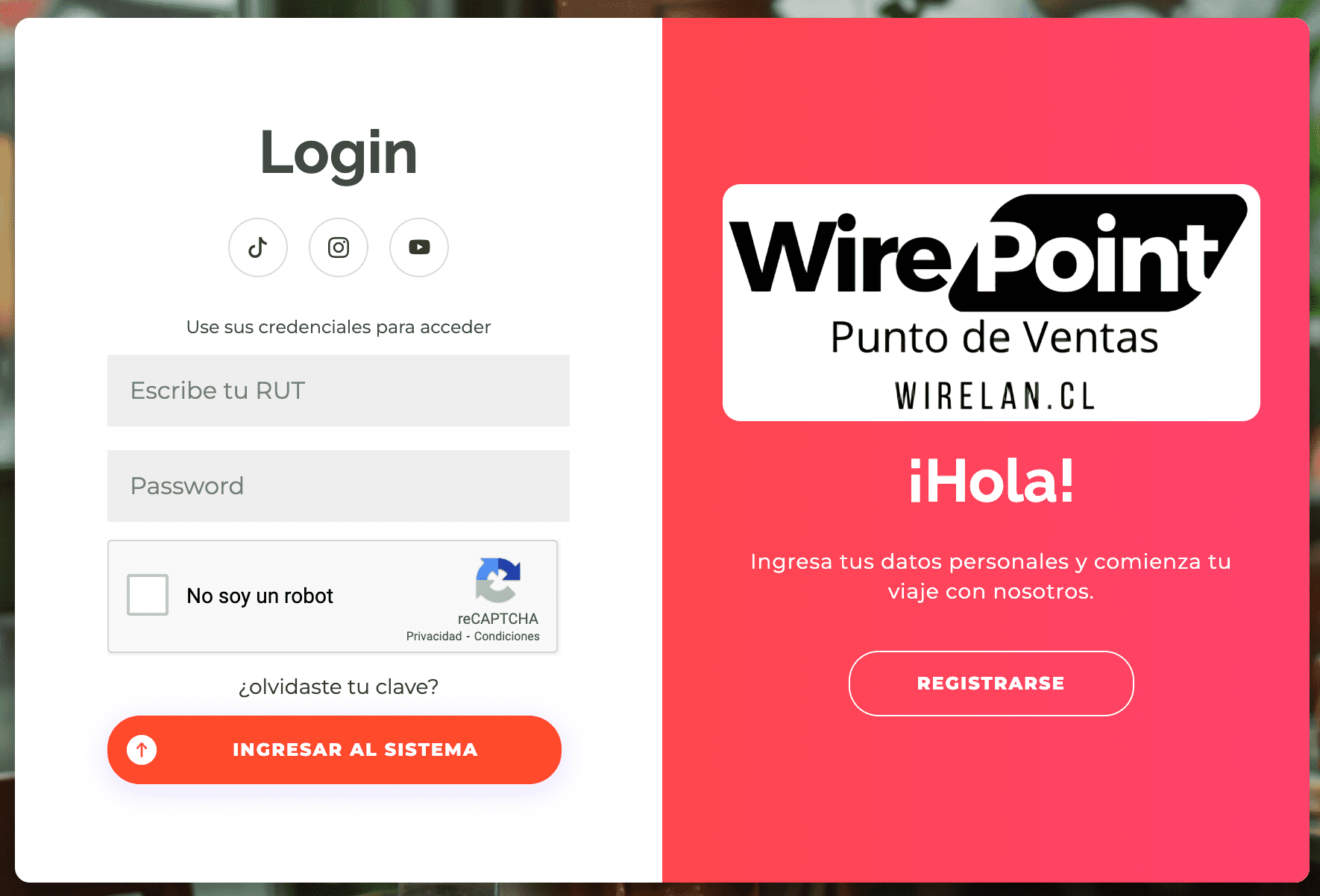 Imagen del logín de wirepoint